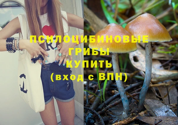 МДМА Алексеевка
