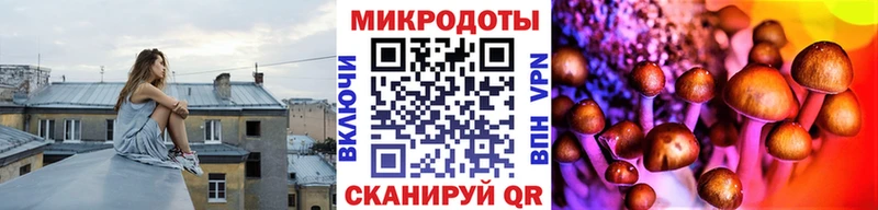 MEGA как зайти купить цена Ахтырский Галлюциногенные грибы GOLDEN TEACHER