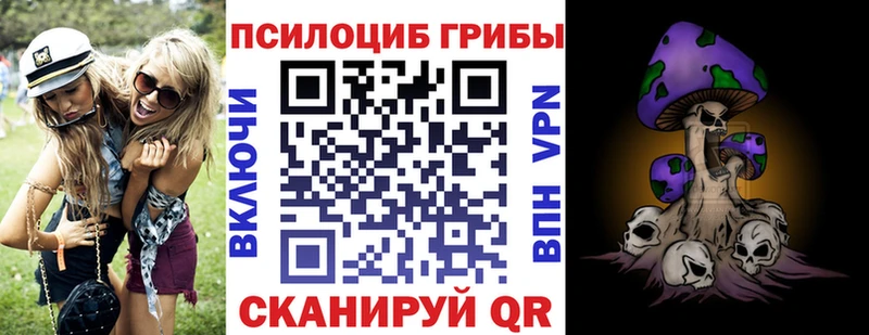 Псилоцибиновые грибы Psilocybine cubensis Ахтырский